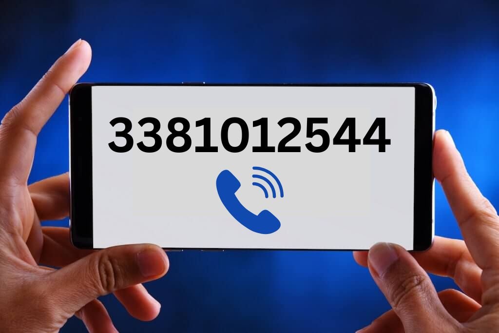 Significance of 3381012544: Its Meaning, Uses, Pros & Cons