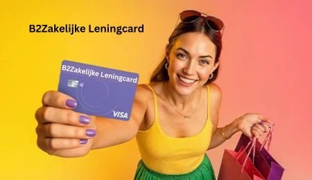 B2Zakelijke Leningcard: Complete Guide for Businesses in 2025