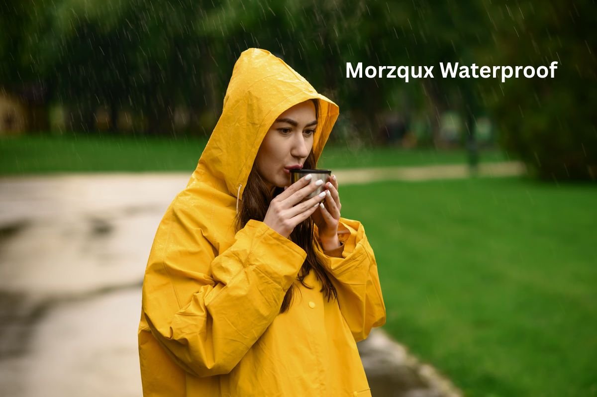 Morzqux Waterproof Complete Guide to Long-Term Stocks Invest