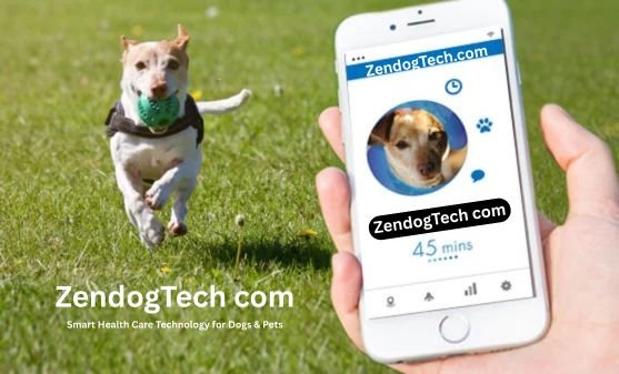 ZendogTech com: Smart Health Care Technology for Dogs & Pets